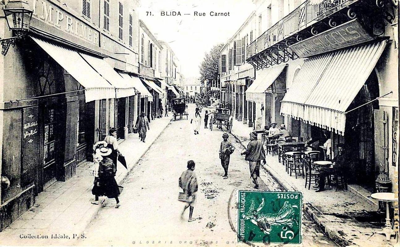 2691- Blida - Rue Carnot - 1911.jpg